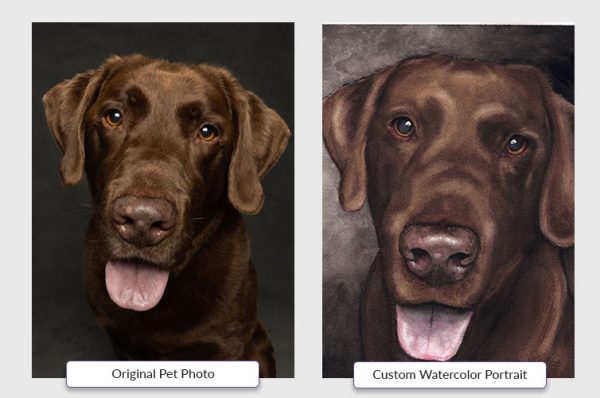 Custom Watercolor Pet Portrait - Image 3