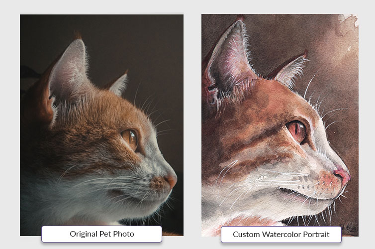 2-pet-examples