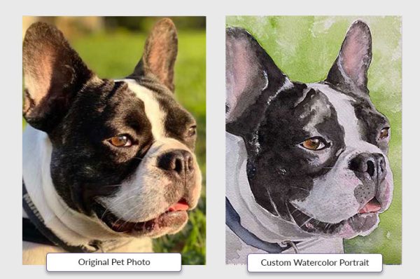 Custom Watercolor Pet Portrait - Image 6