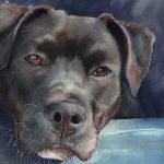 Custom watercolor portrait of Ash, a loyal black Labrador Retriever
