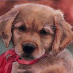 Hand-painted watercolor portrait of Baby Gus, a Golden Retriever puppy