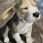 Custom watercolor portrait of Barney, a Beagle puppy with floppy ears