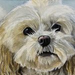 Hand-painted watercolor portrait of Bella, a white fluffy Shih Tzu with expressive eyes