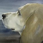 Hand-painted watercolor pet portrait of Buddy the Beagle