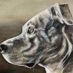 Custom watercolor portrait of Bungee, a handsome brindle Pit Bull in profile