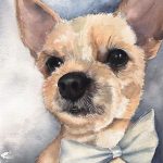 Hand-painted watercolor headshot of Charlie Klod, an adorable Chihuahua wearing a bow tie