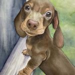 Custom watercolor portrait of Cupcake, an adorable Dachshund puppy peeking over a ledge