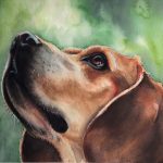 Custom watercolor portrait of Gideon, a classic Beagle