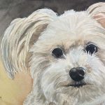 Hand-painted watercolor portrait of Gretchen, a long-coated Pomeranian-poodle mix