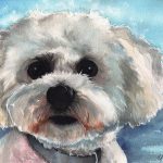 Watercolor portrait of Harly, a fluffy white Maltese dog