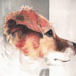 Hand-painted watercolor portrait of Jack, an alert Jack Russell Terrier