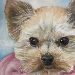 Hand-painted watercolor portrait of Lily, a Yorkshire Terrier wearing pink