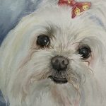 Hand-painted watercolor portrait of Pinkles, a Maltese wearing a pink bow
