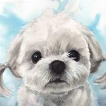 Hand-painted watercolor portrait of Precious, a white Maltese