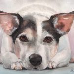 Custom watercolor portrait of Rufus, an alert Jack Russell Terrier