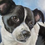 Hand-painted watercolor portrait of Scooter, a Jack Russell Terrier with a tilted head