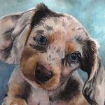 Hand-painted watercolor portrait of Sparky, a playful Dachshund, by TG Pet Art